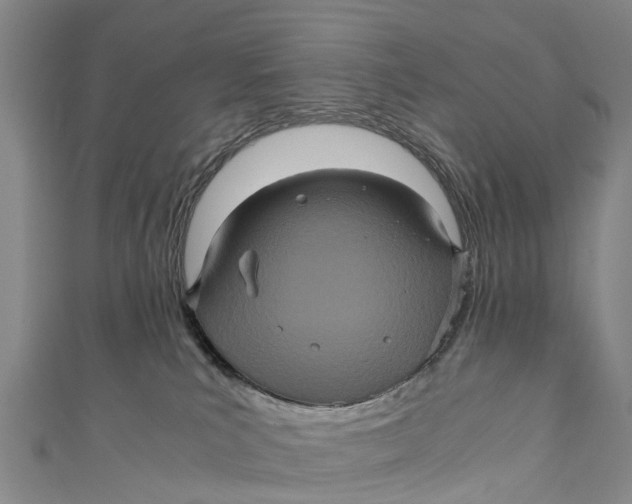X0000110990039200907101440