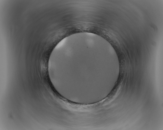 X0000110990040200907101440