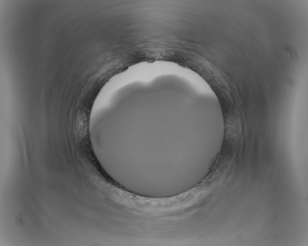X0000110990043200907101440