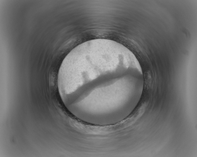 X0000110990044200907101440