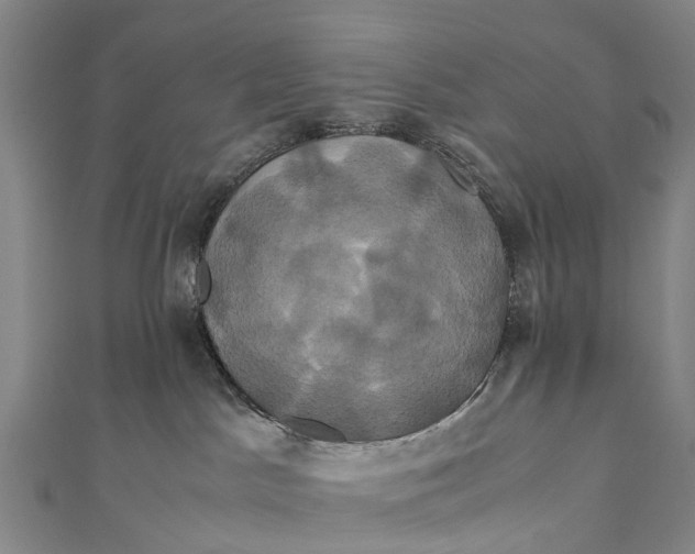 X0000110990045200907101440