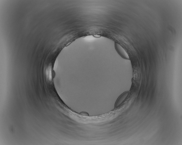X0000110990046200907101440