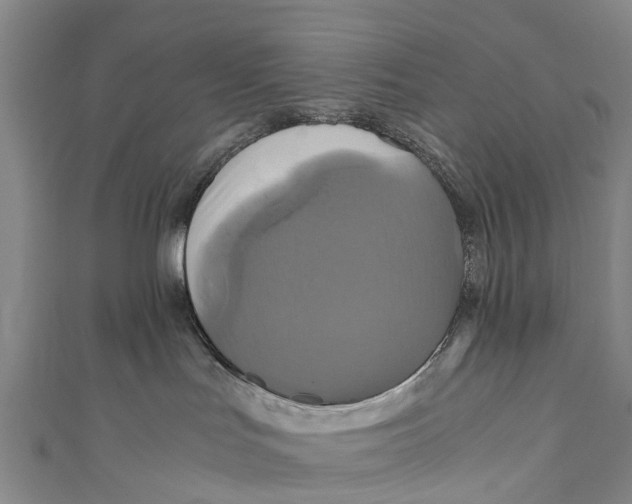 X0000110990047200907101440