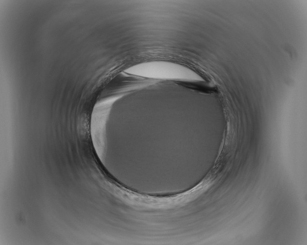 X0000110990048200907101440