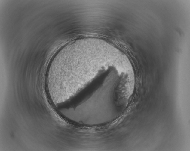 X0000110990049200907101439