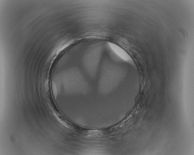 X0000110990050200907101439