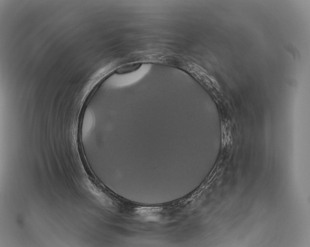 X0000110990051200907101439