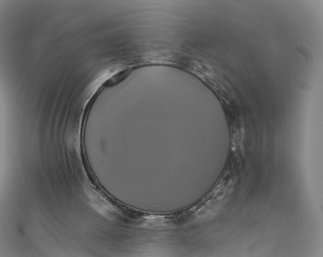 X0000110990052200907101439