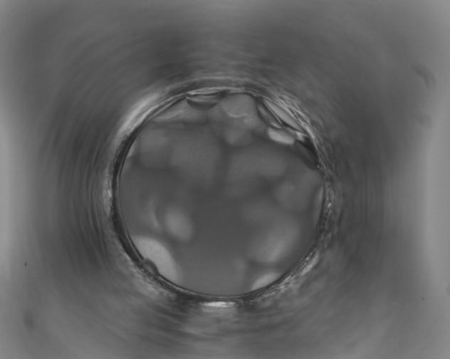 X0000110990053200907101439