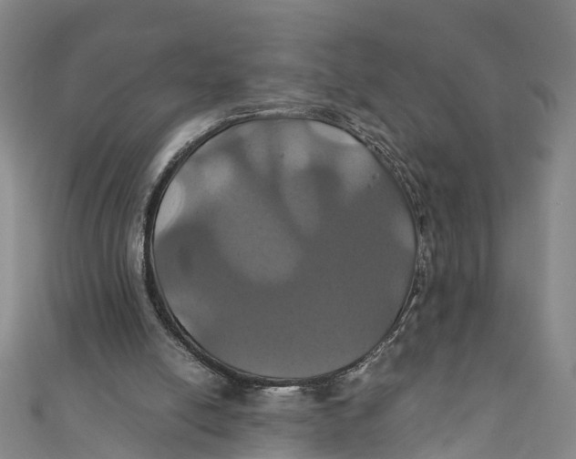 X0000110990054200907101439