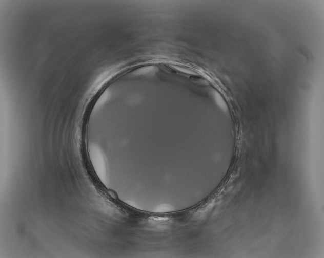 X0000110990055200907101439