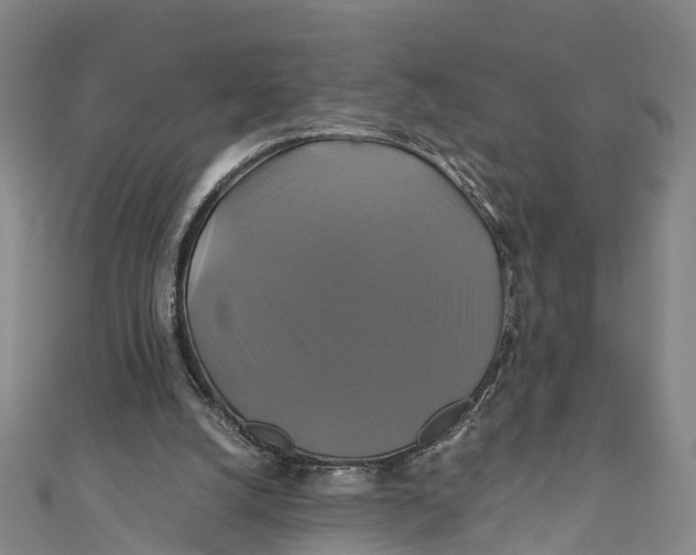 X0000110990056200907101439