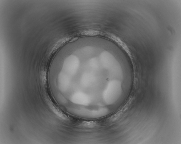 X0000110990057200907101439