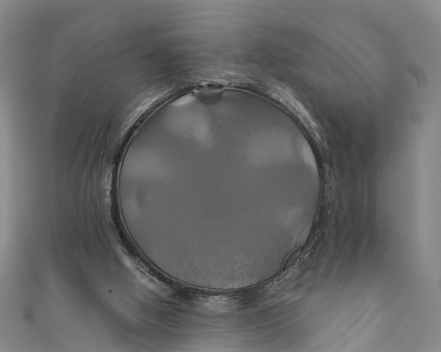 X0000110990058200907101439