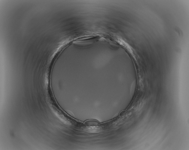 X0000110990059200907101439