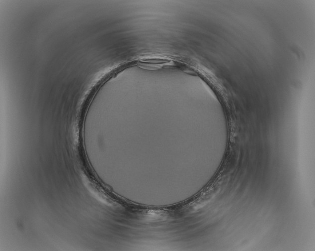 X0000110990060200907101439
