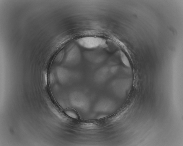 X0000110990061200907101439
