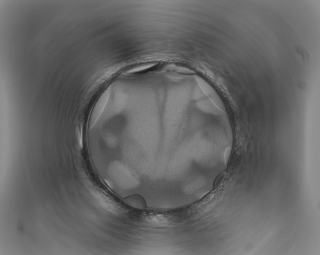 X0000110990062200907101439