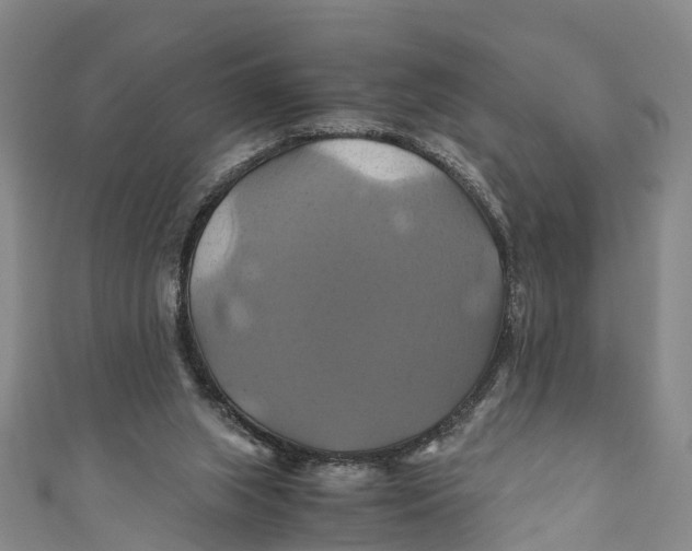 X0000110990063200907101439