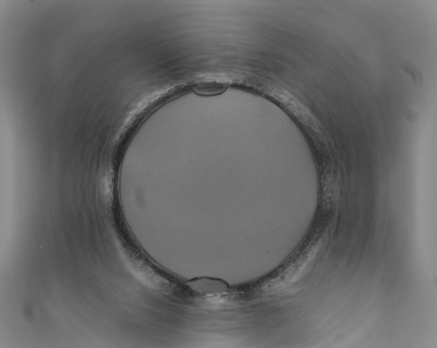 X0000110990064200907101439