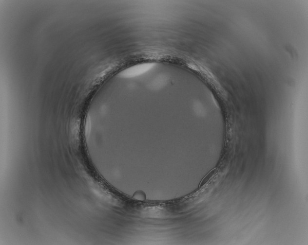 X0000110990066200907101439