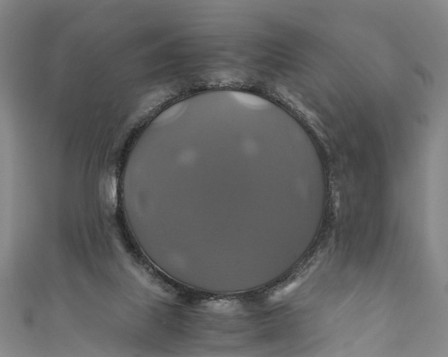X0000110990067200907101439