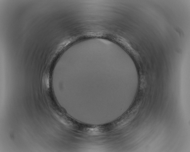X0000110990068200907101439