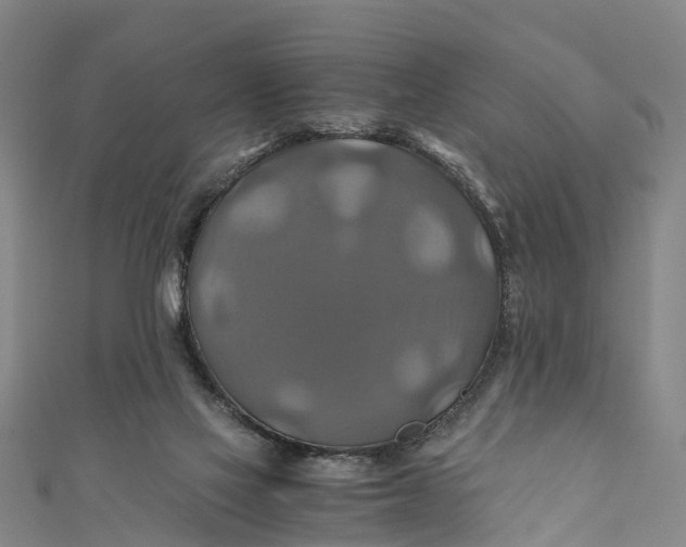 X0000110990069200907101439