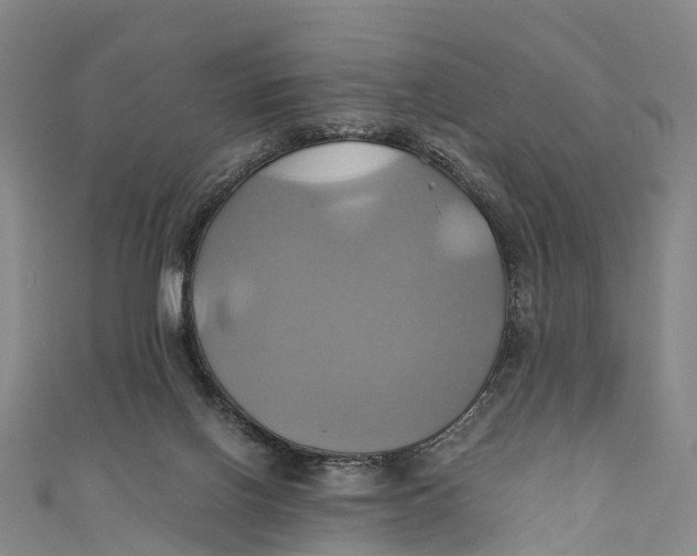 X0000110990070200907101439
