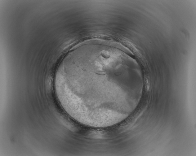 X0000110990071200907101439