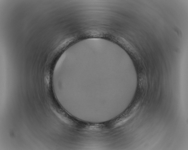 X0000110990072200907101439