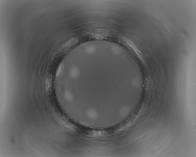 X0000110990073200907101439