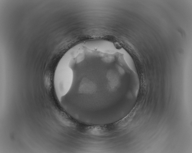 X0000110990074200907101439