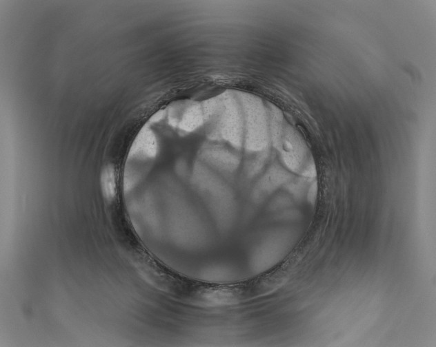 X0000110990075200907101439