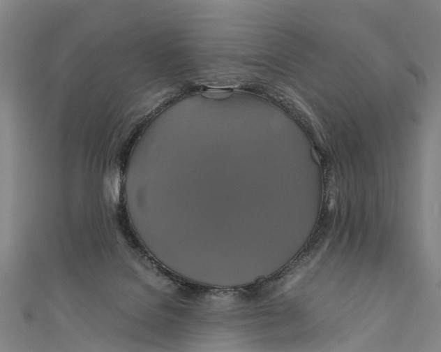 X0000110990076200907101439