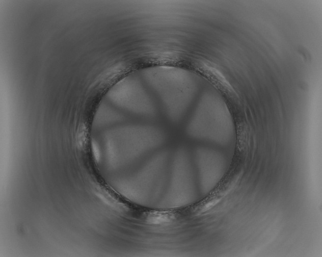X0000110990077200907101439