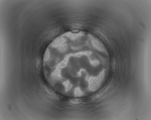 X0000110990079200907101439