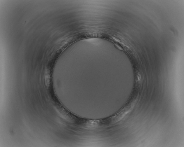 X0000110990080200907101440