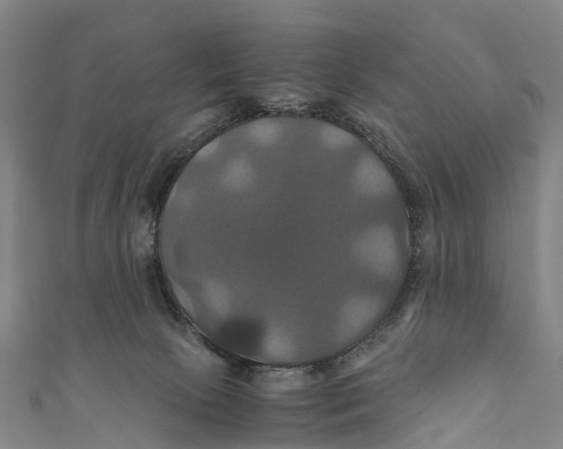 X0000110990081200907101440