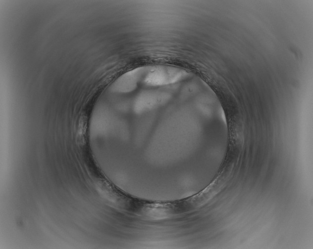 X0000110990082200907101440