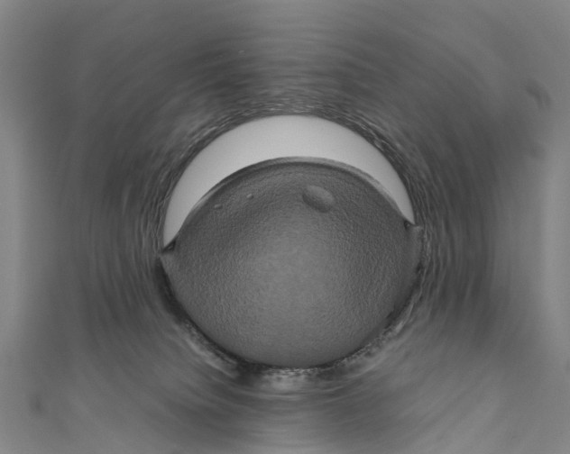 X0000110990084200907101440