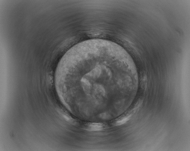 X0000110990085200907101440