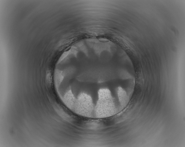 X0000110990086200907101440