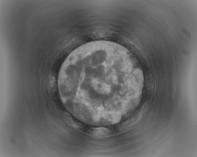 X0000110990087200907101440