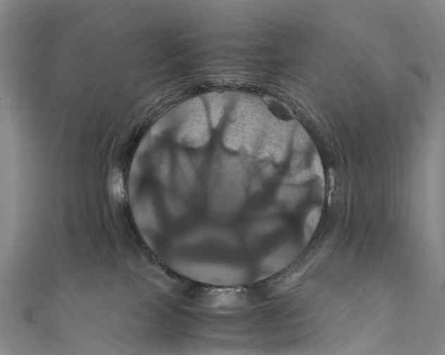 X0000110990089200907101440
