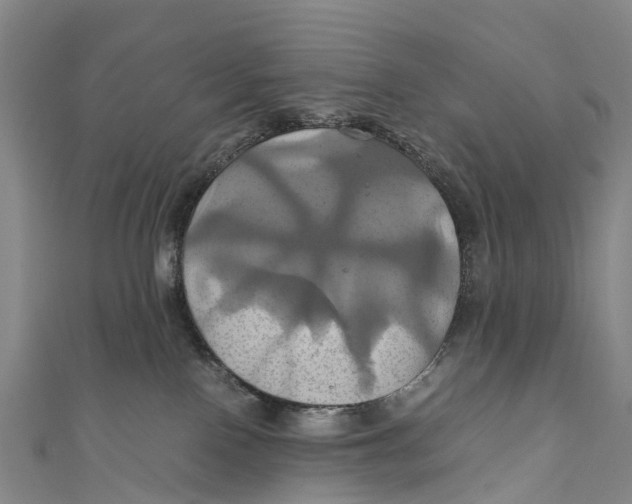 X0000110990090200907101440