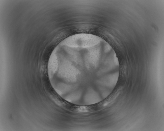 X0000110990091200907101440