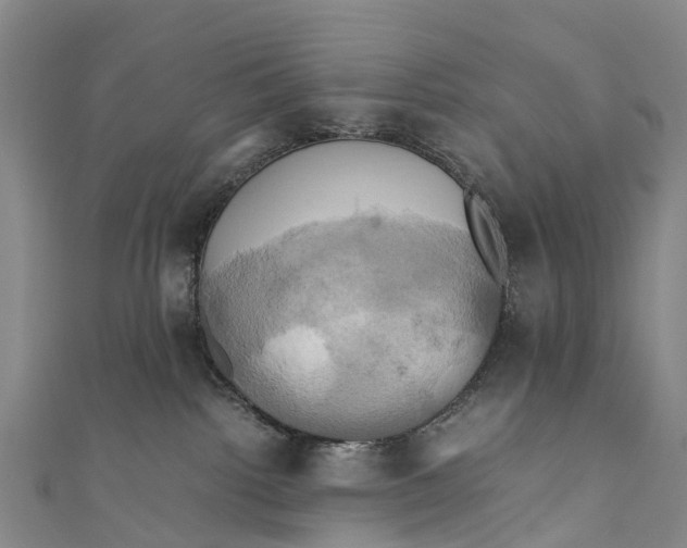X0000110990092200907101440