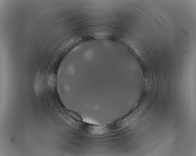 X0000110990093200907101440