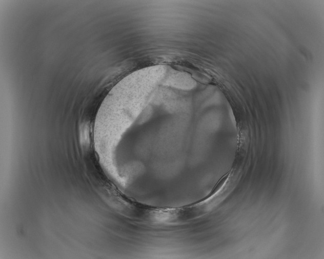 X0000110990094200907101440